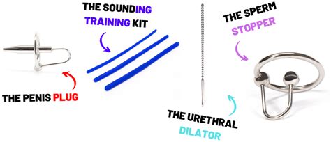 urethra / sounding .